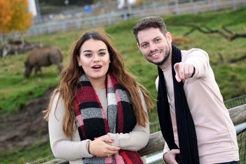 An Amazing Walk On The Wild Side