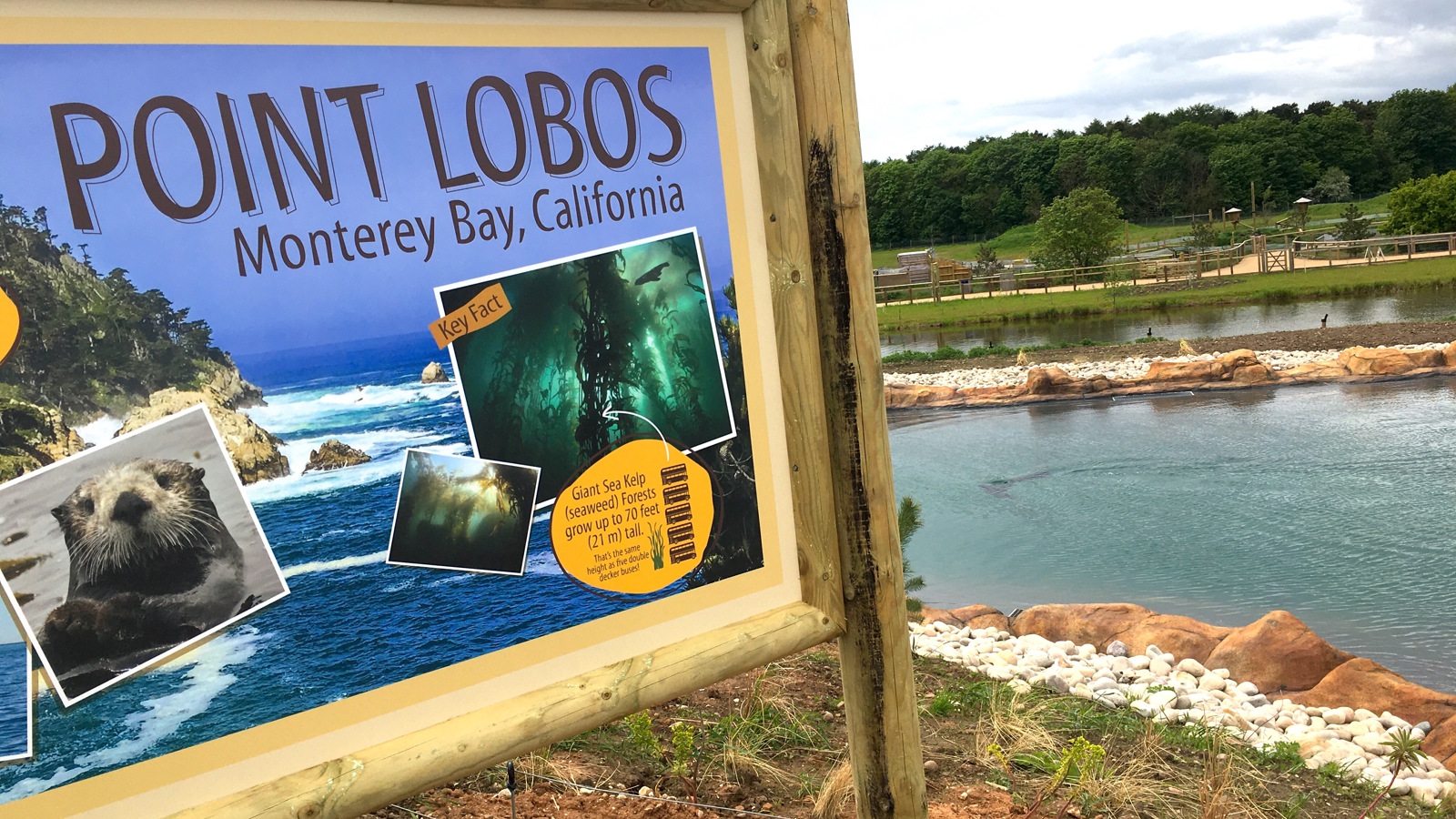 Point Lobos Sign