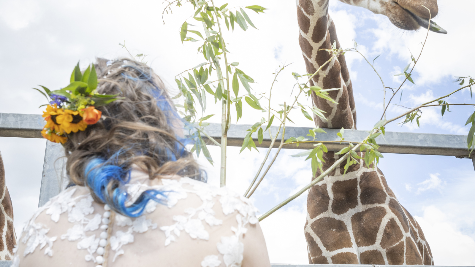Tilly And Schochin Wedding (321 Of 724)