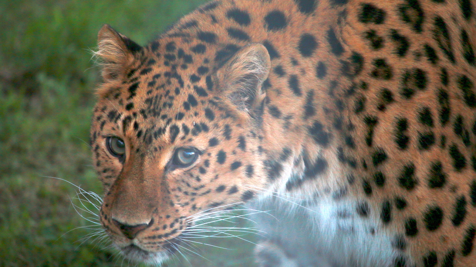 Img 8261 Crop
