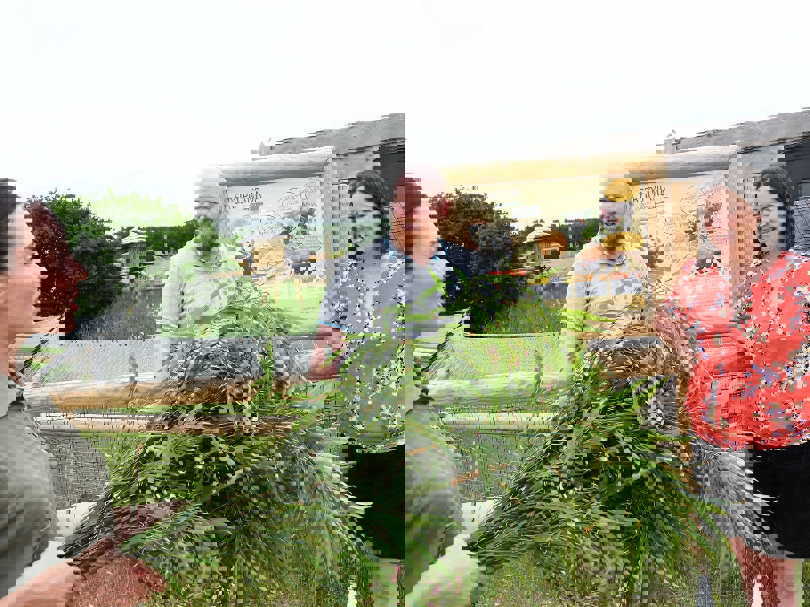 Dsc 1610