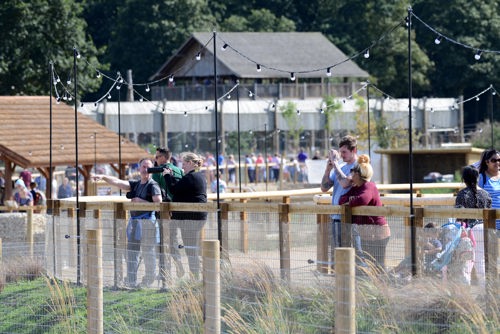 Plenty Of Space For Everyone