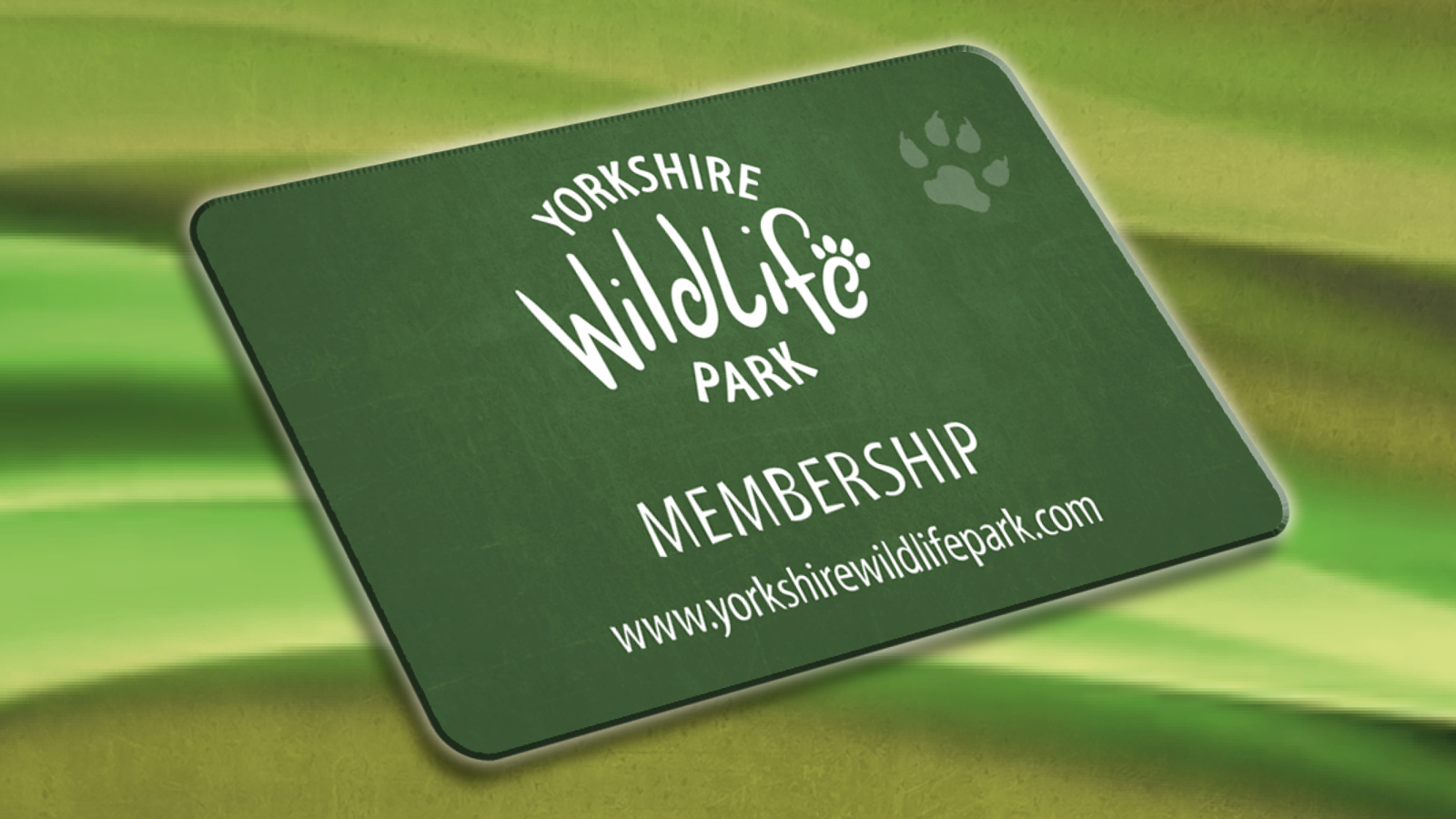 Ywp 1821 Standard And Gold Membership2