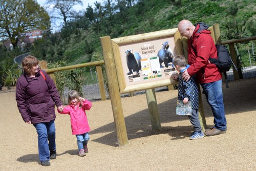 Learning About Otters