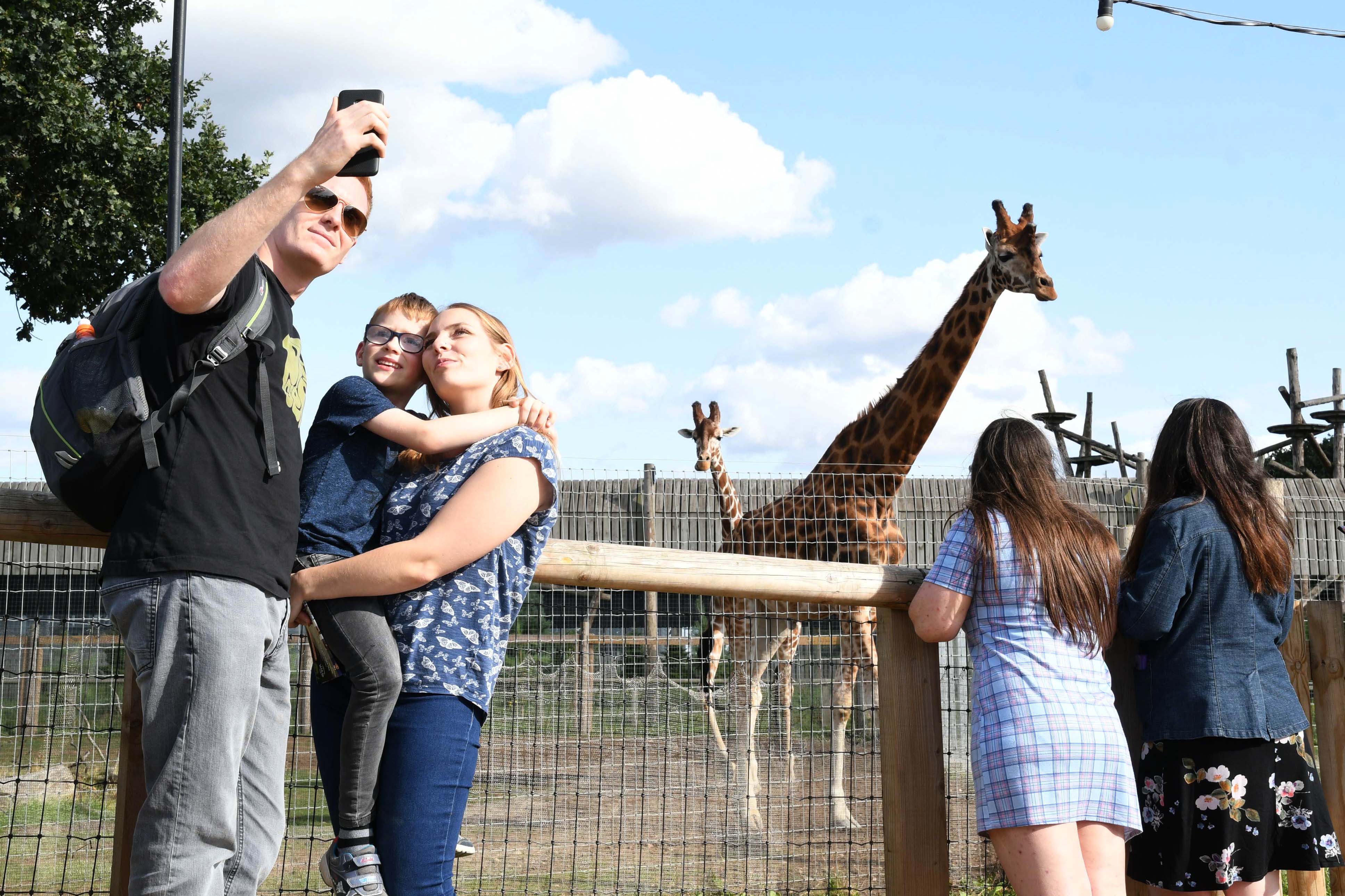 Ywp Family Selfie With Giraffe