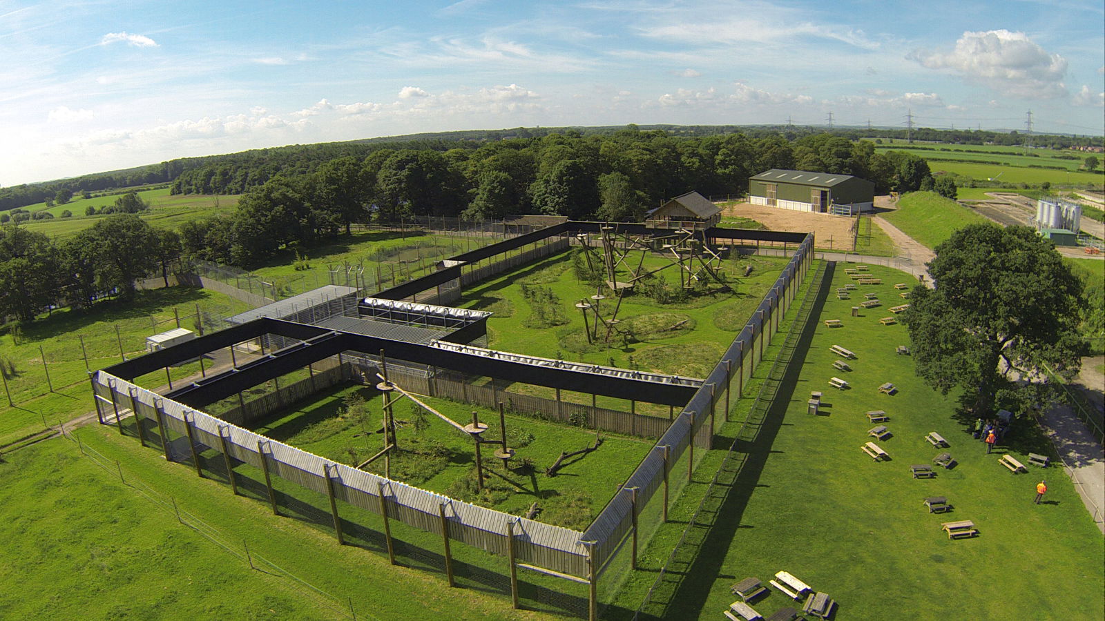 Leopard Aerial View High Enclosure