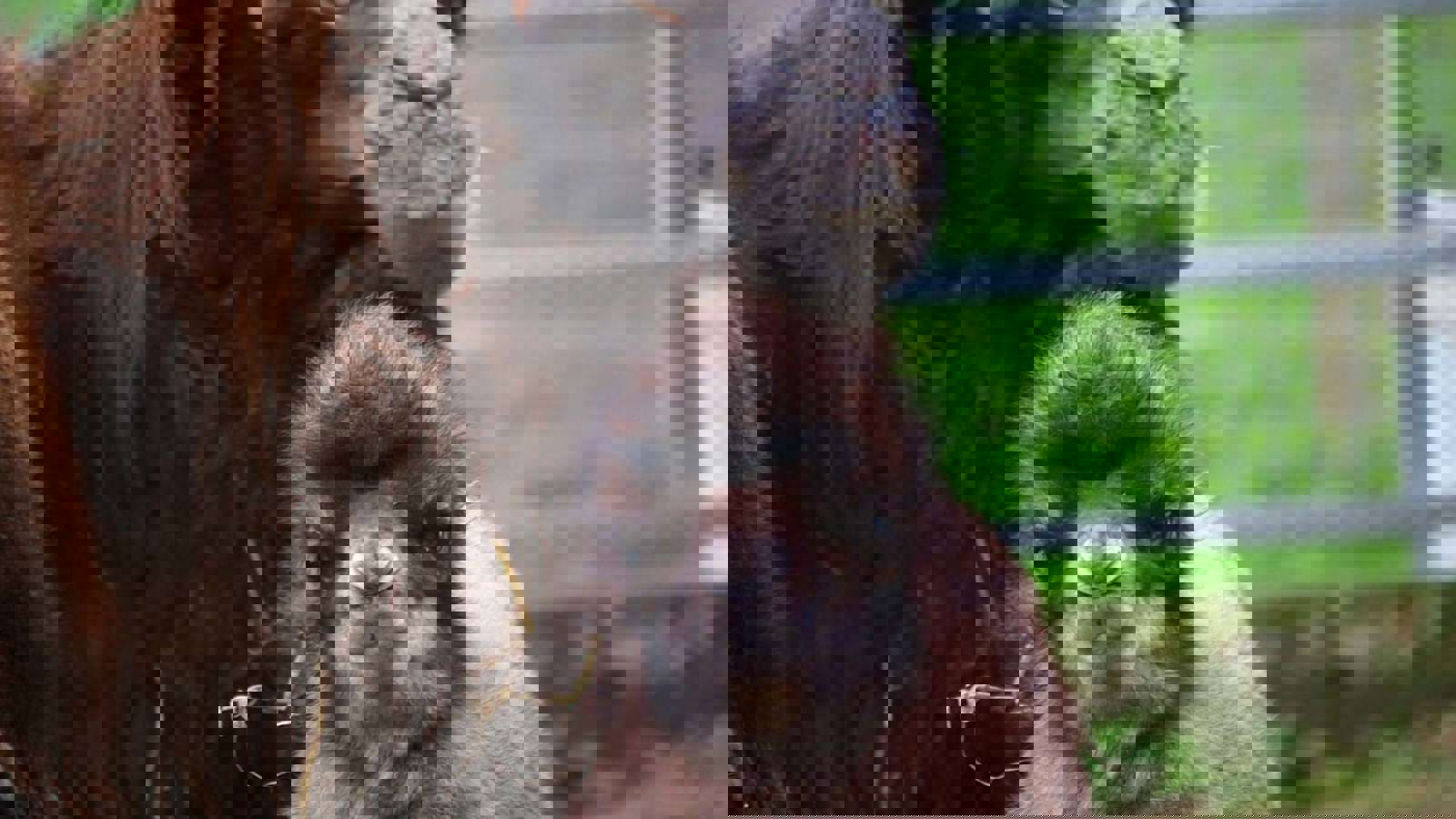 Img 9838