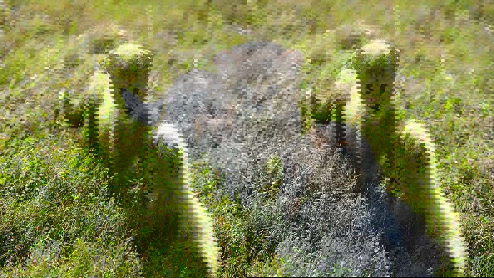 Dsc06307