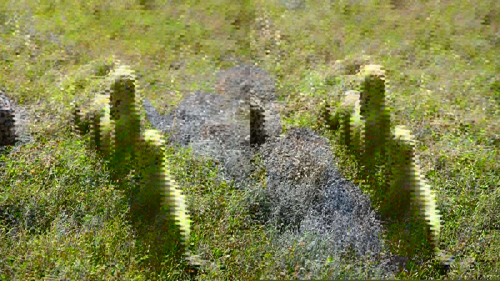 Dsc06308
