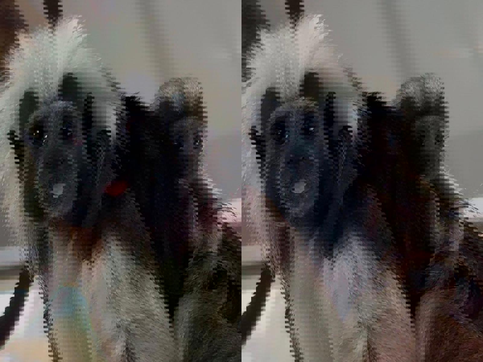 Photo 2025 02 17 10 50 00 2