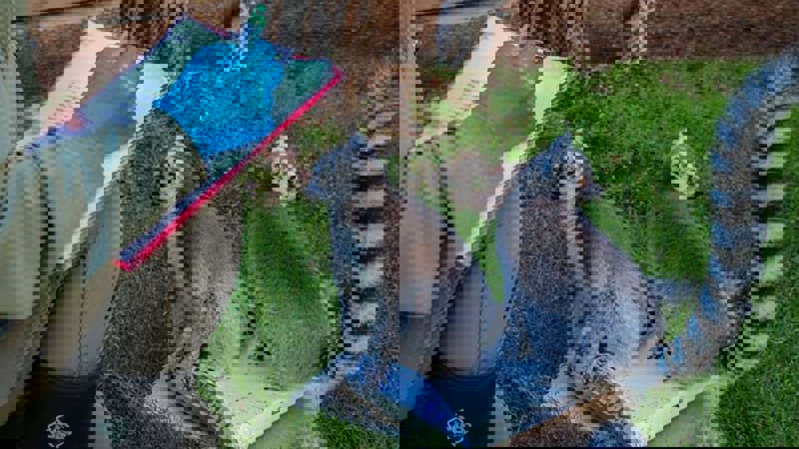 Img 3455