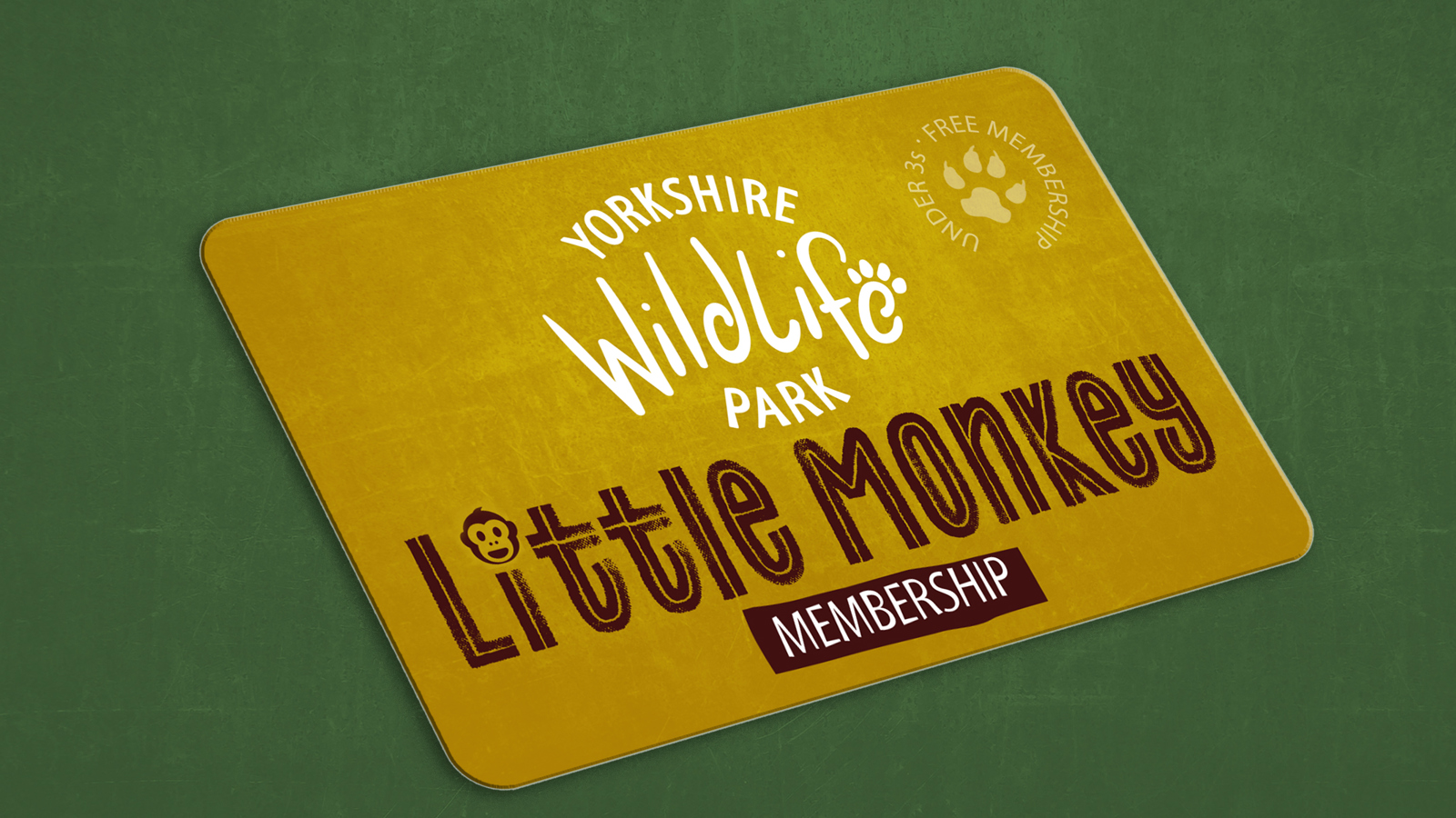 Ywp 2453 Little Monkey Membership