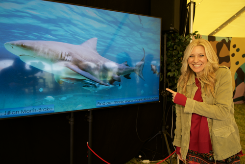 Screenshot 2024 06 17 At 19.38.03