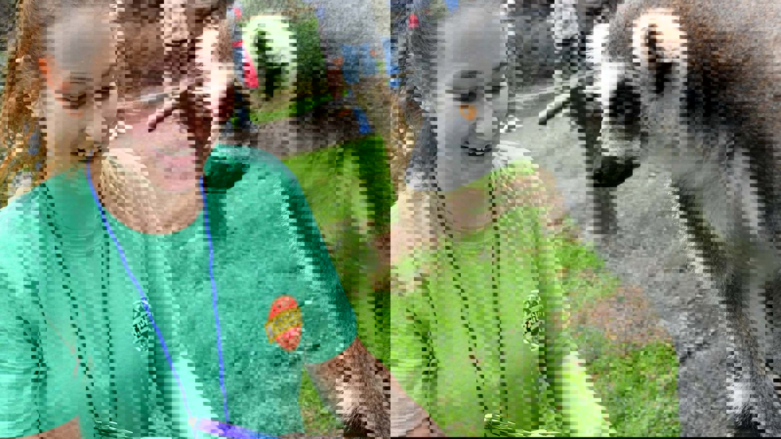 Dsc 4953