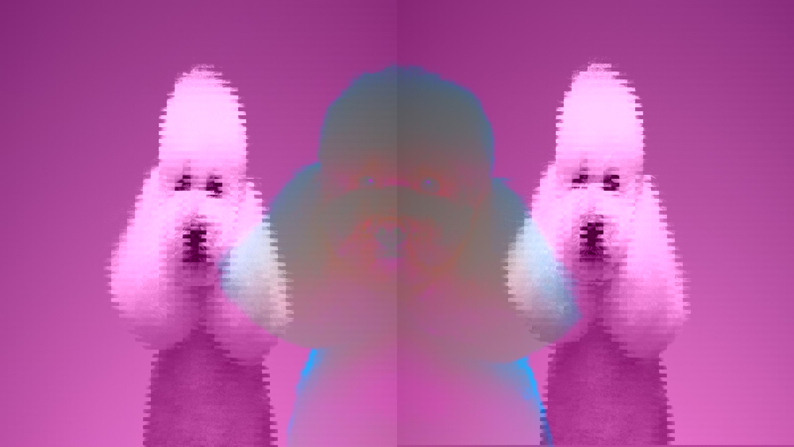 Adobestock 416294296