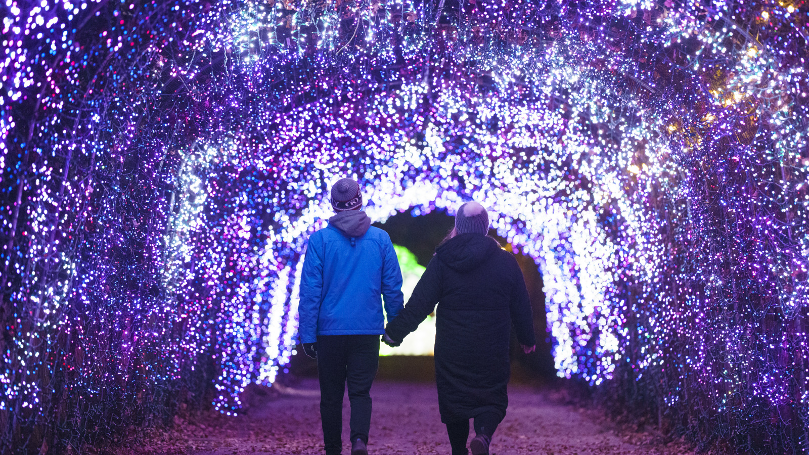 YWP Winter Lights 036