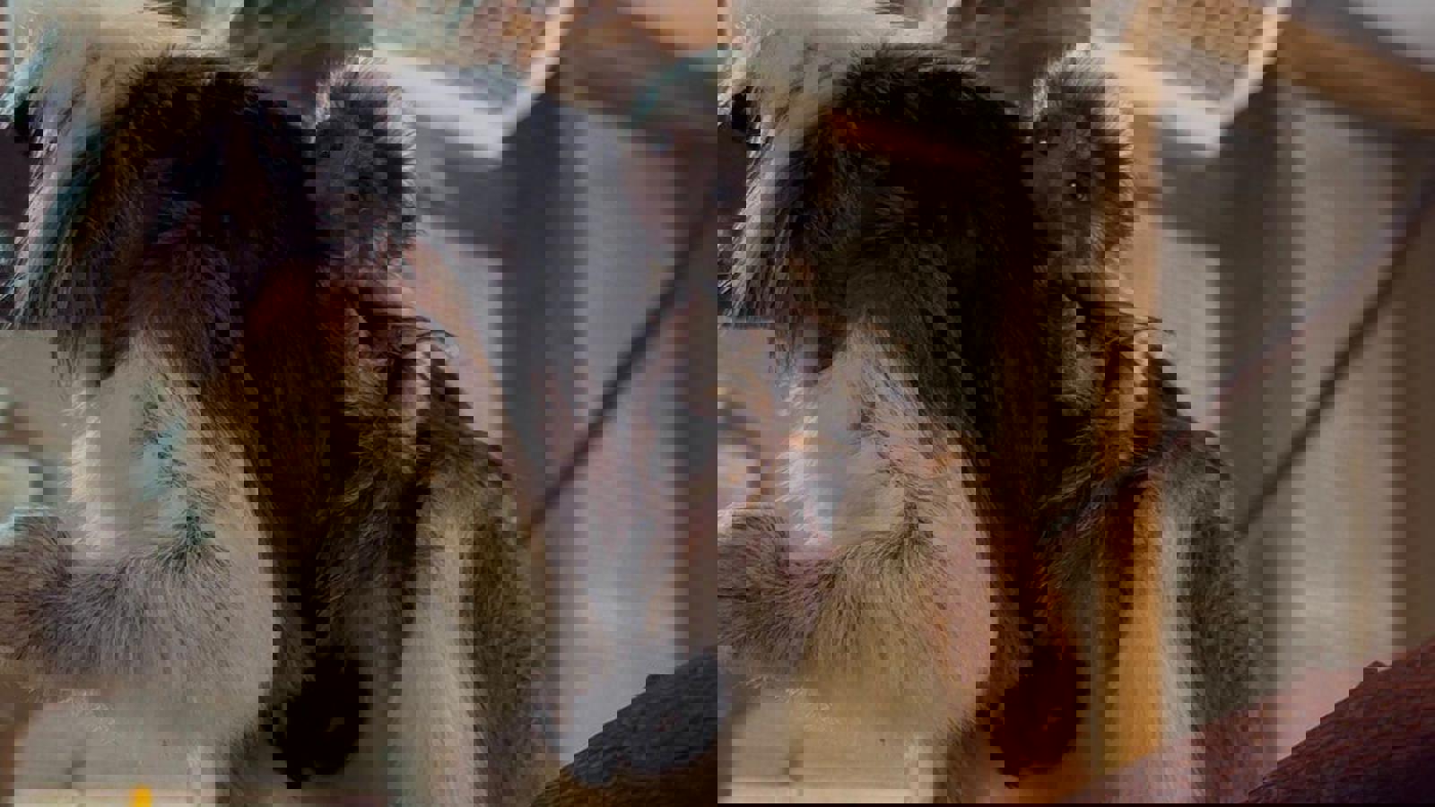 Photo 2025 02 17 10 50 00