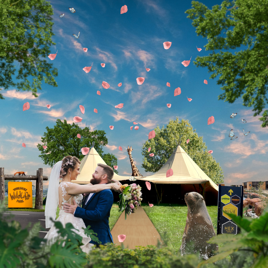 Wedding Showcase 1080 No Text