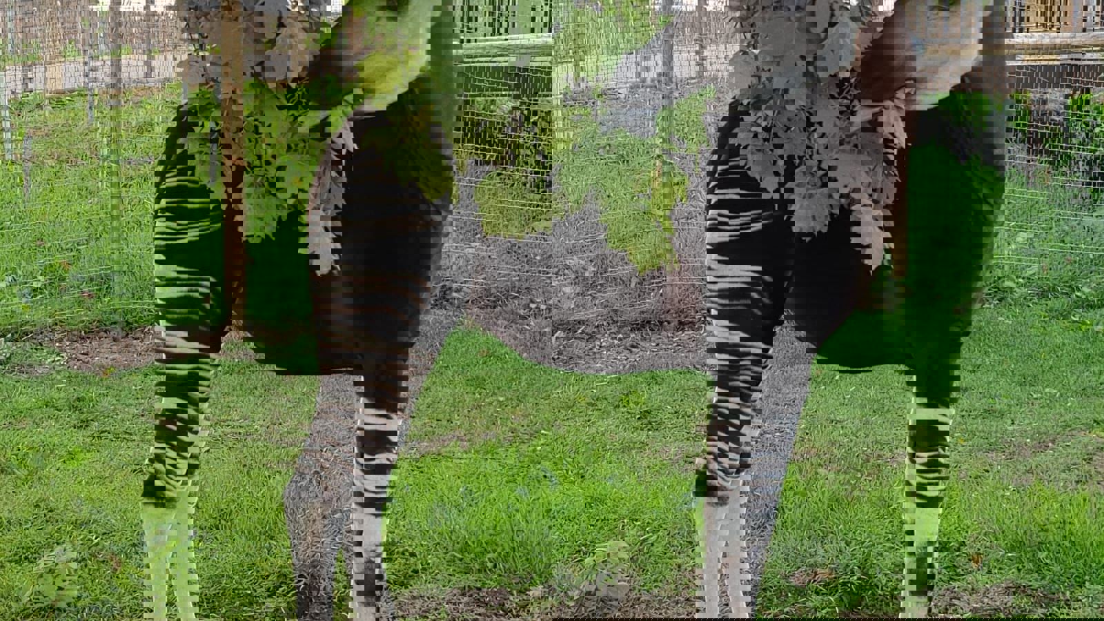 A4e3b796 5B82 471B 9C29 8Bee7fbae0f6
