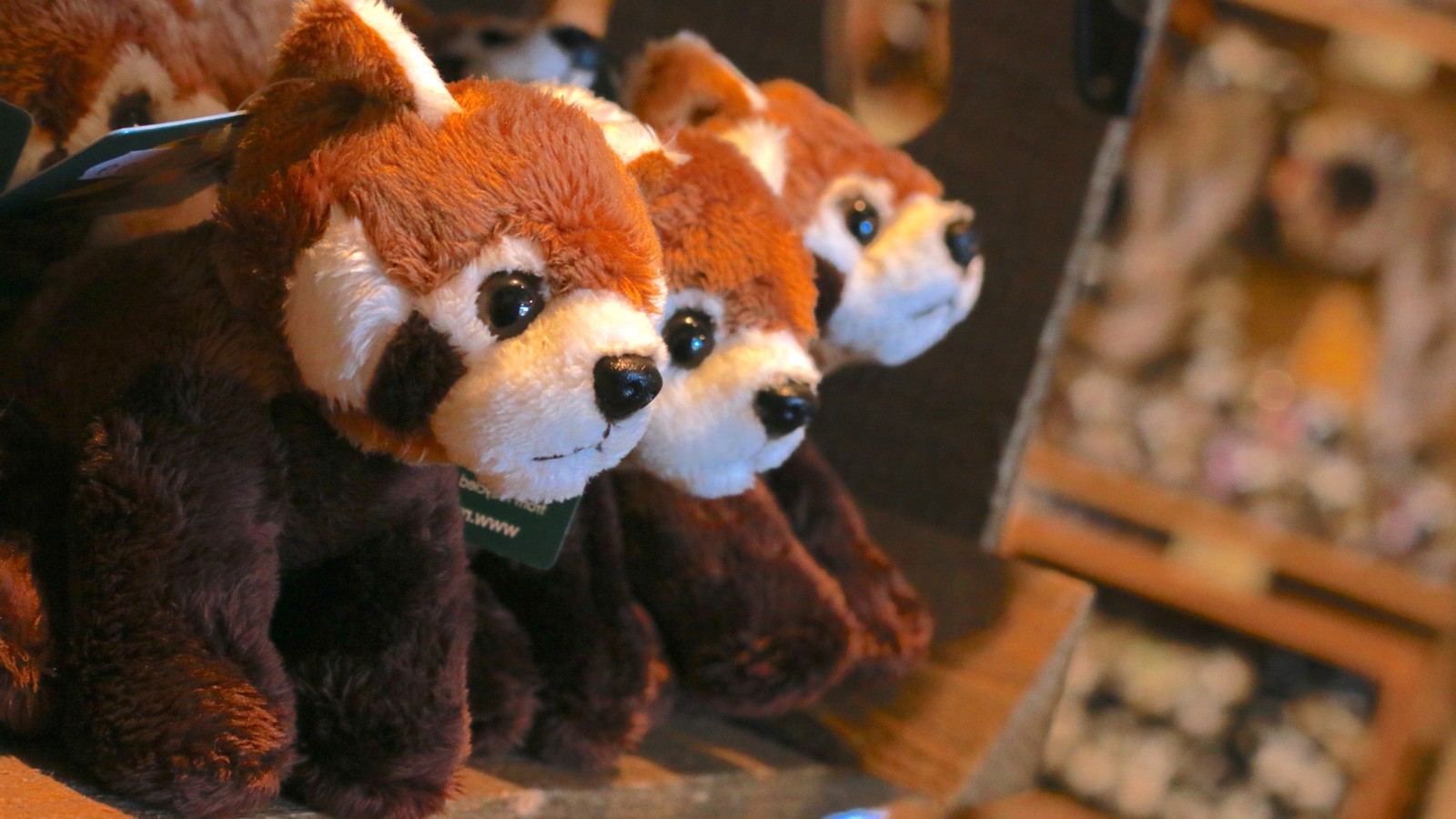 Small Red Panda Toy Copy