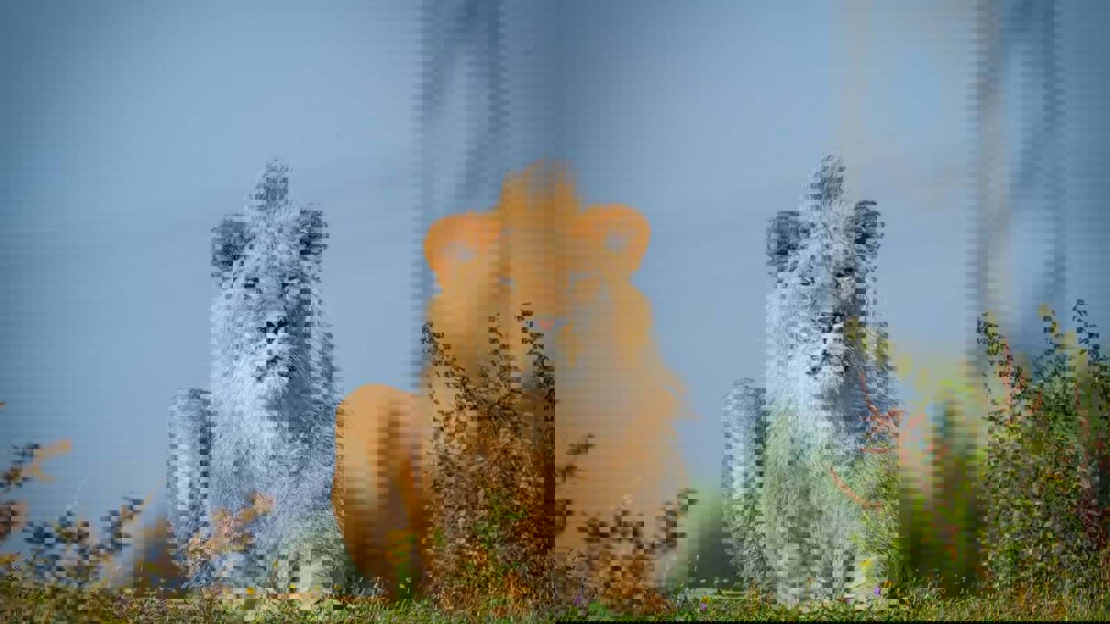 Dsc07946
