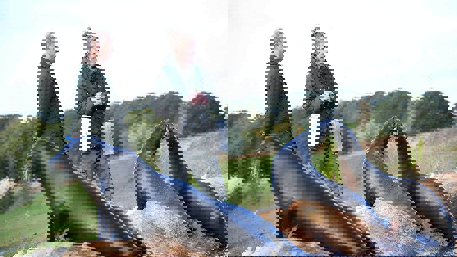 Dsc 8678