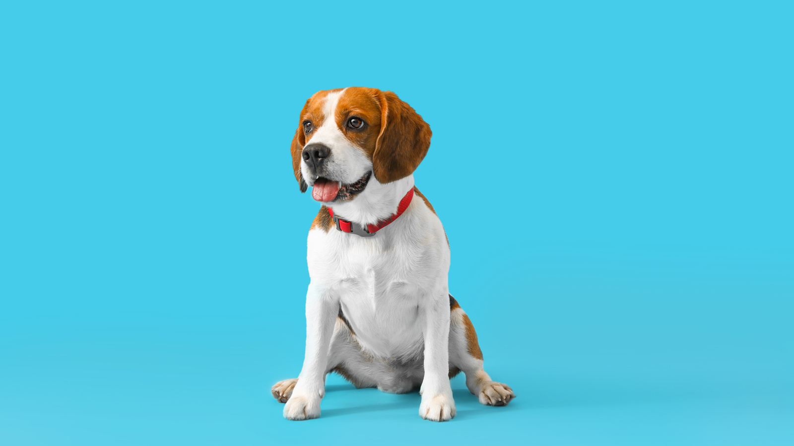 Adobestock 469570275