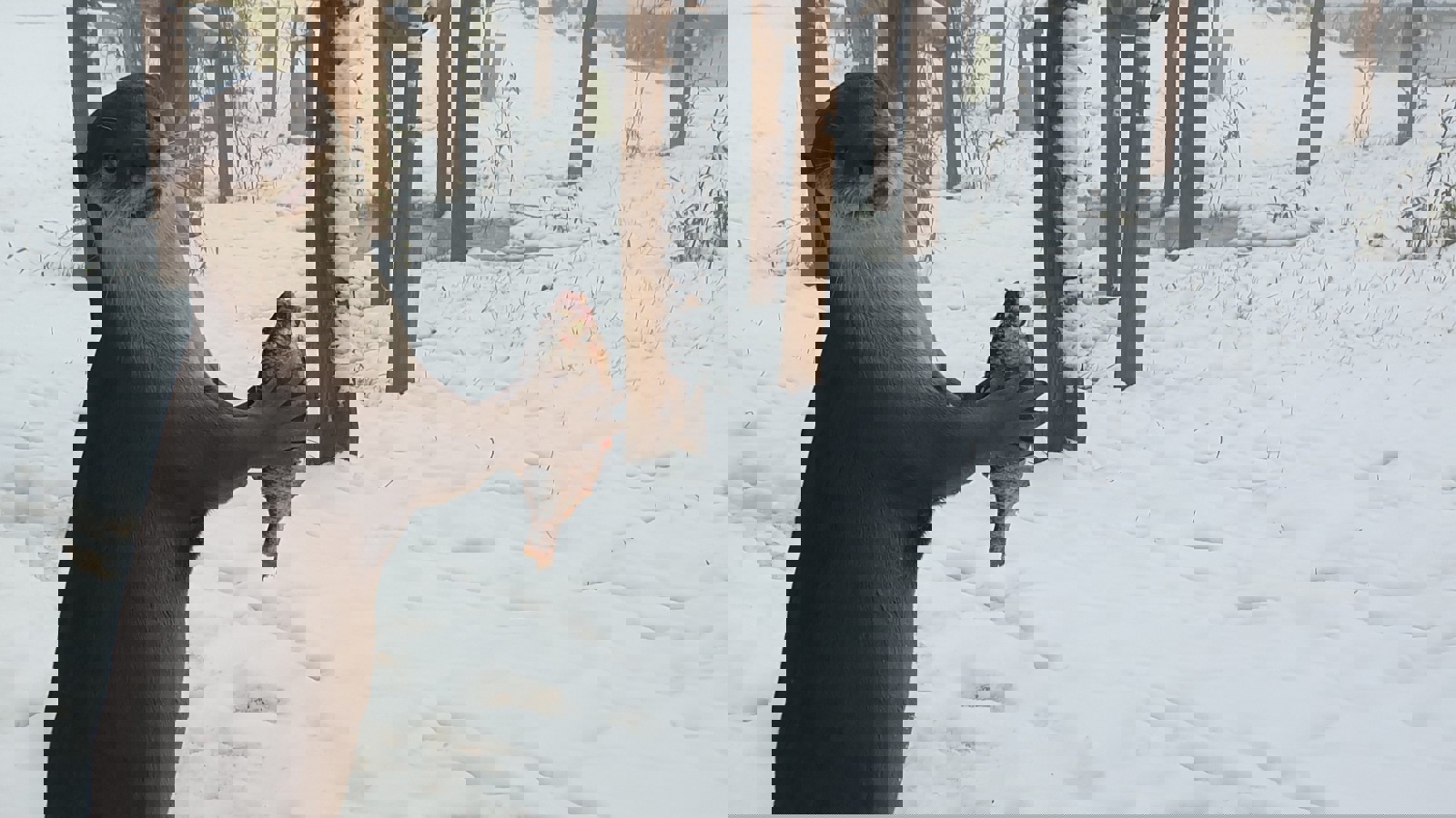 20210115 130844