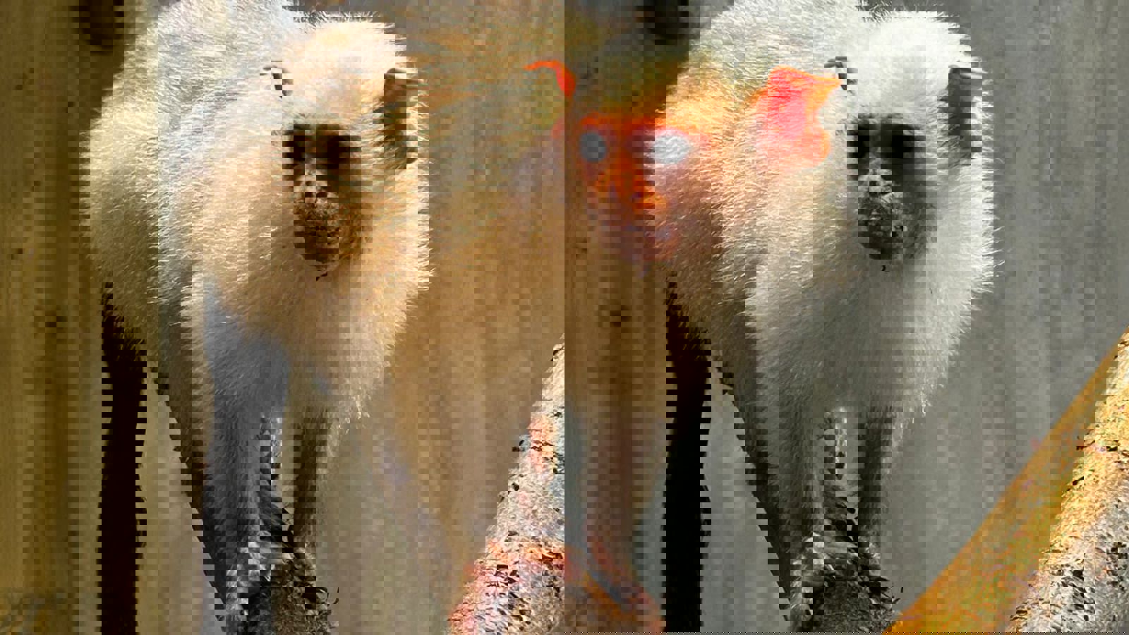 E73912b6 2Fe6 4246 870F D16fa019ebad