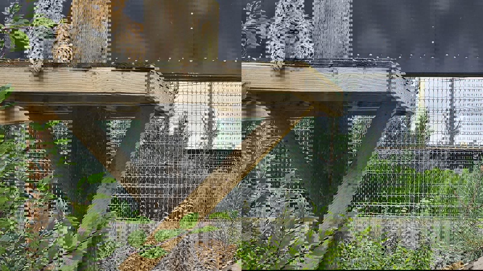 Photo 2023 09 01 12 49 03