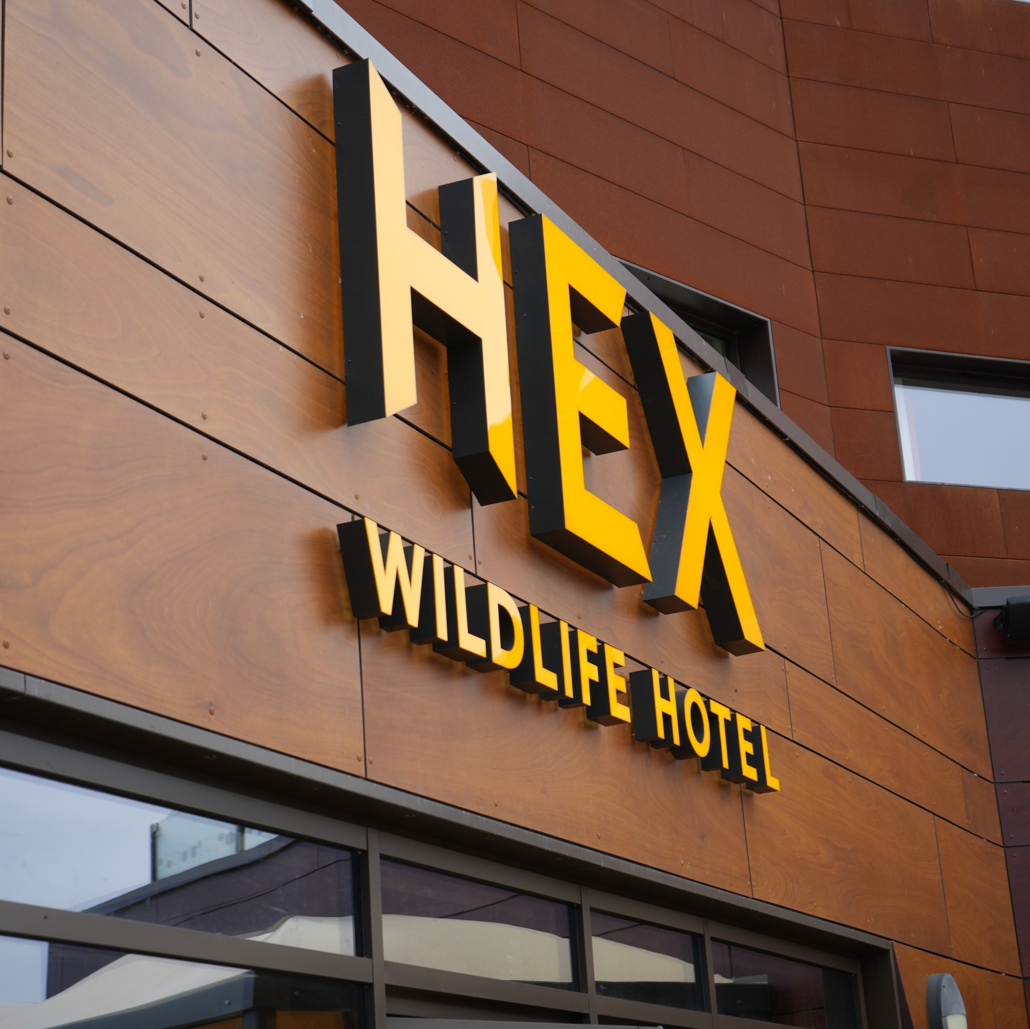 428709444 778723950979236 3349771697989146387 N