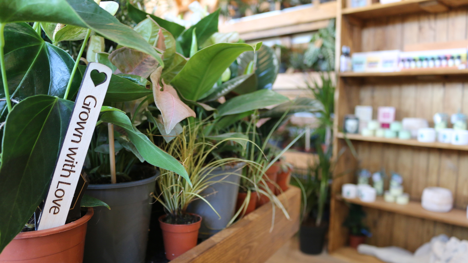 Plant Grown With Love Label