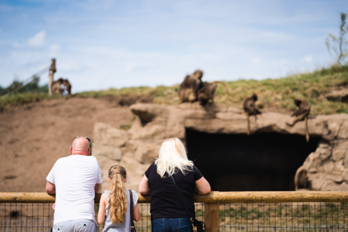 Ben Harrison Photography Www Benharrisonphotography Co Uk 183