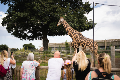 Ben Harrison Photography Www Benharrisonphotography Co Uk 186