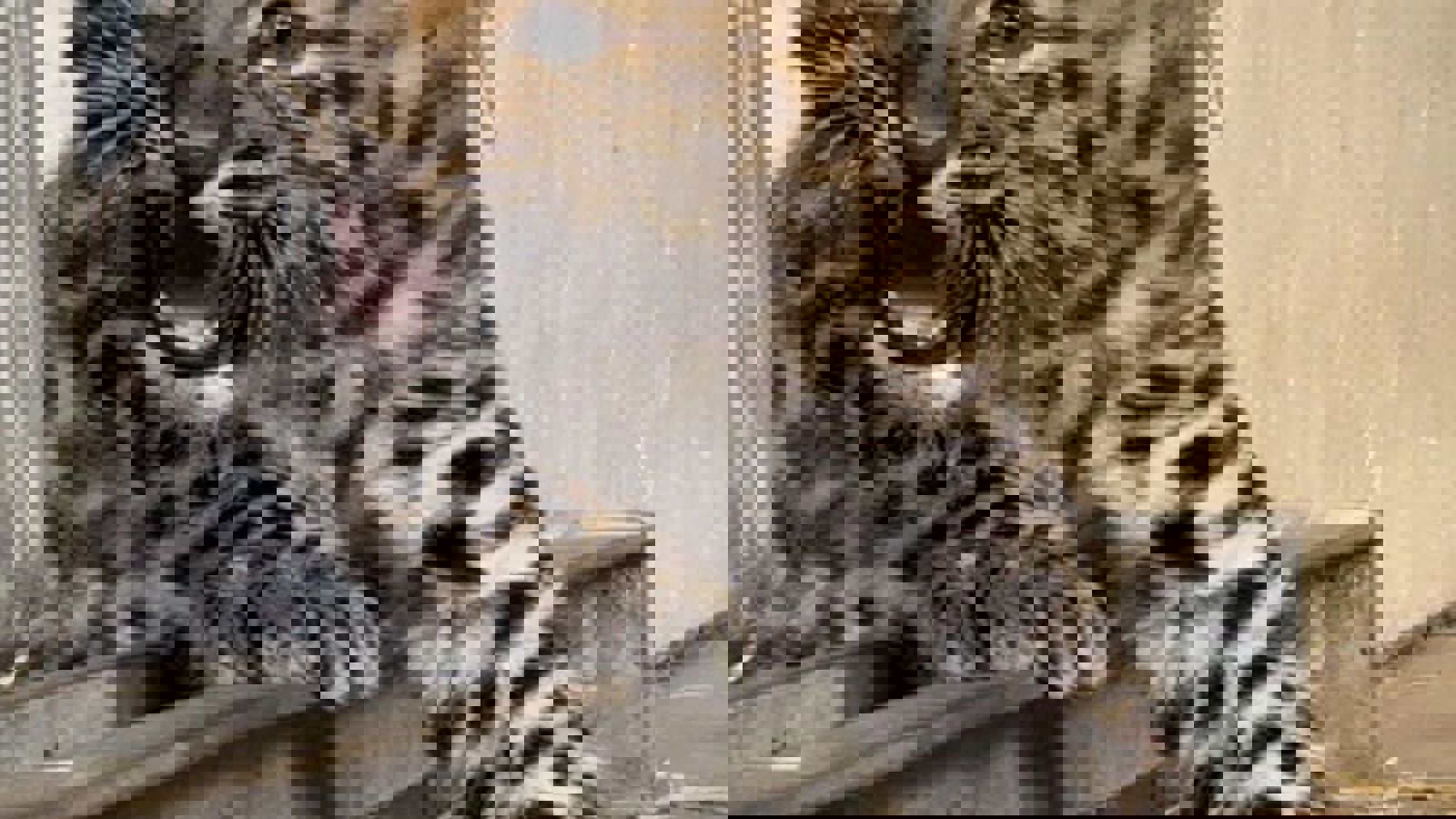 Photo 2023 08 07 11 56 28
