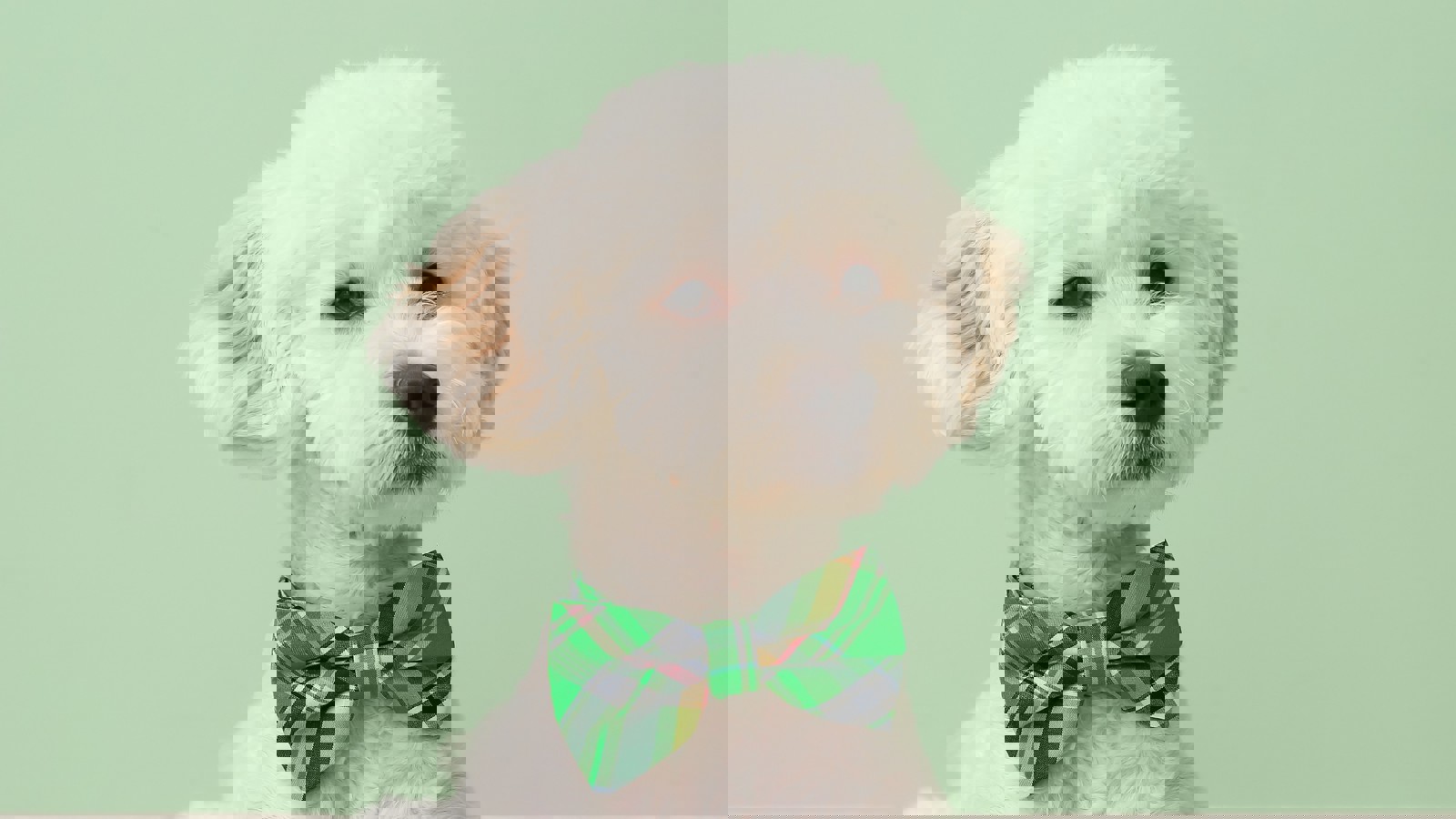 Adobestock 412077819