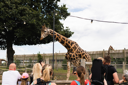 Ben Harrison Photography Www Benharrisonphotography Co Uk 185