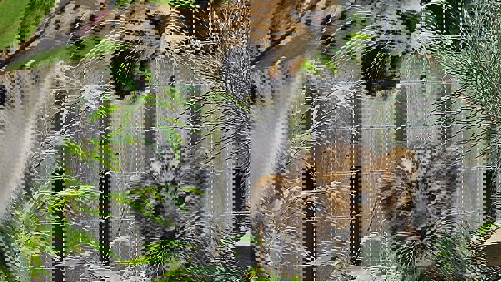 Photo 2023 09 01 12 49 04