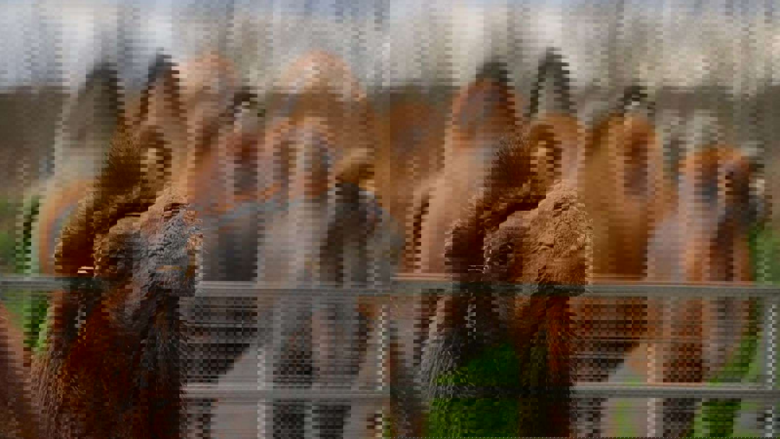 Img 9861
