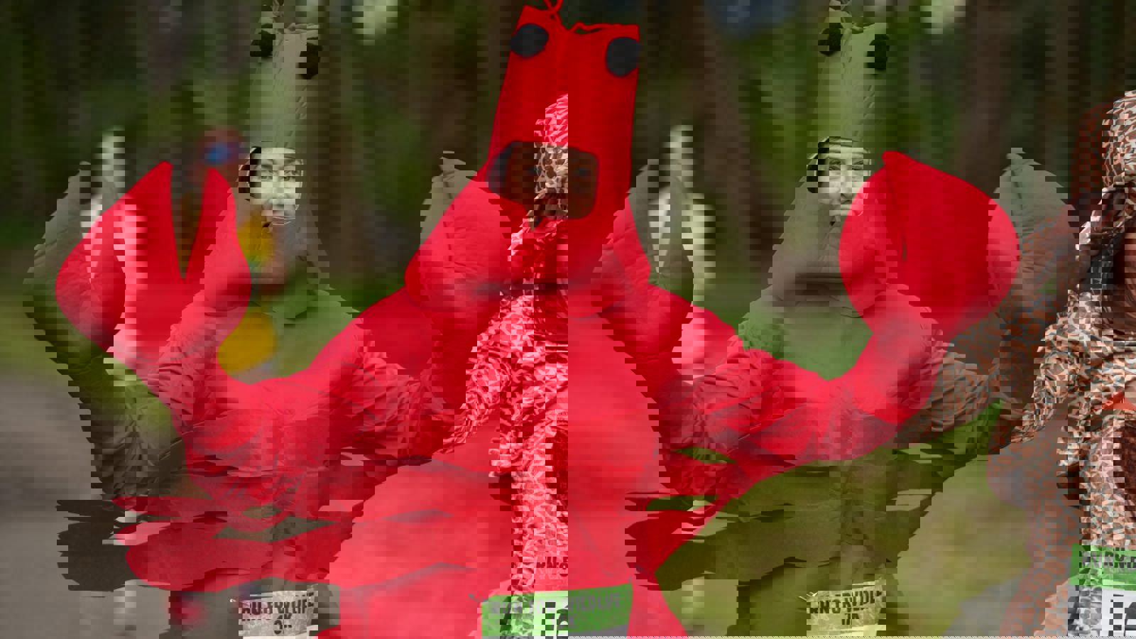 Dsc08553
