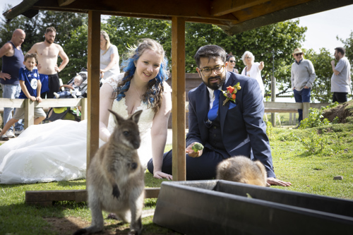 Tilly And Schochin Wedding (371 Of 724)