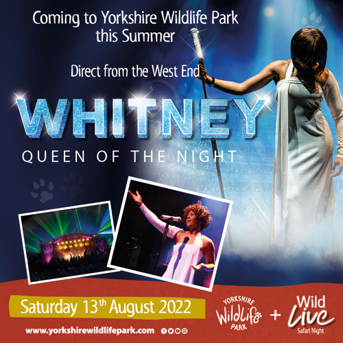 Ywp 1793 Whitney 1080 X 1080