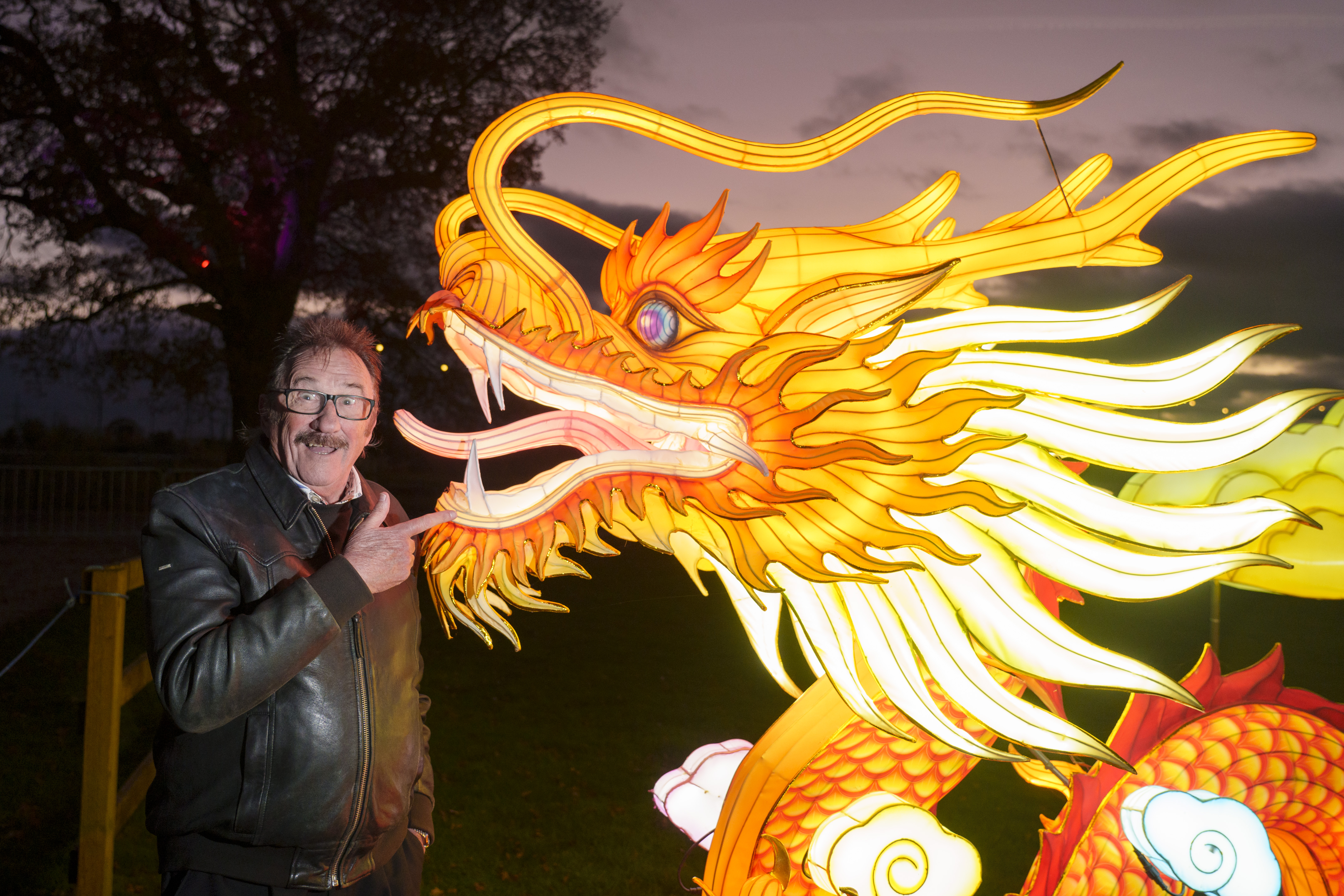 YWP Winter Lights 001