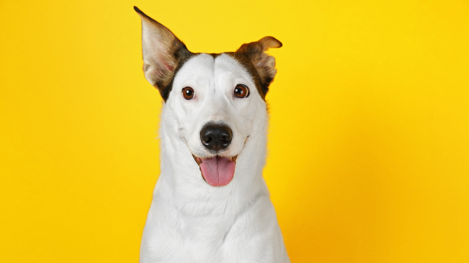 Adobestock 131060839